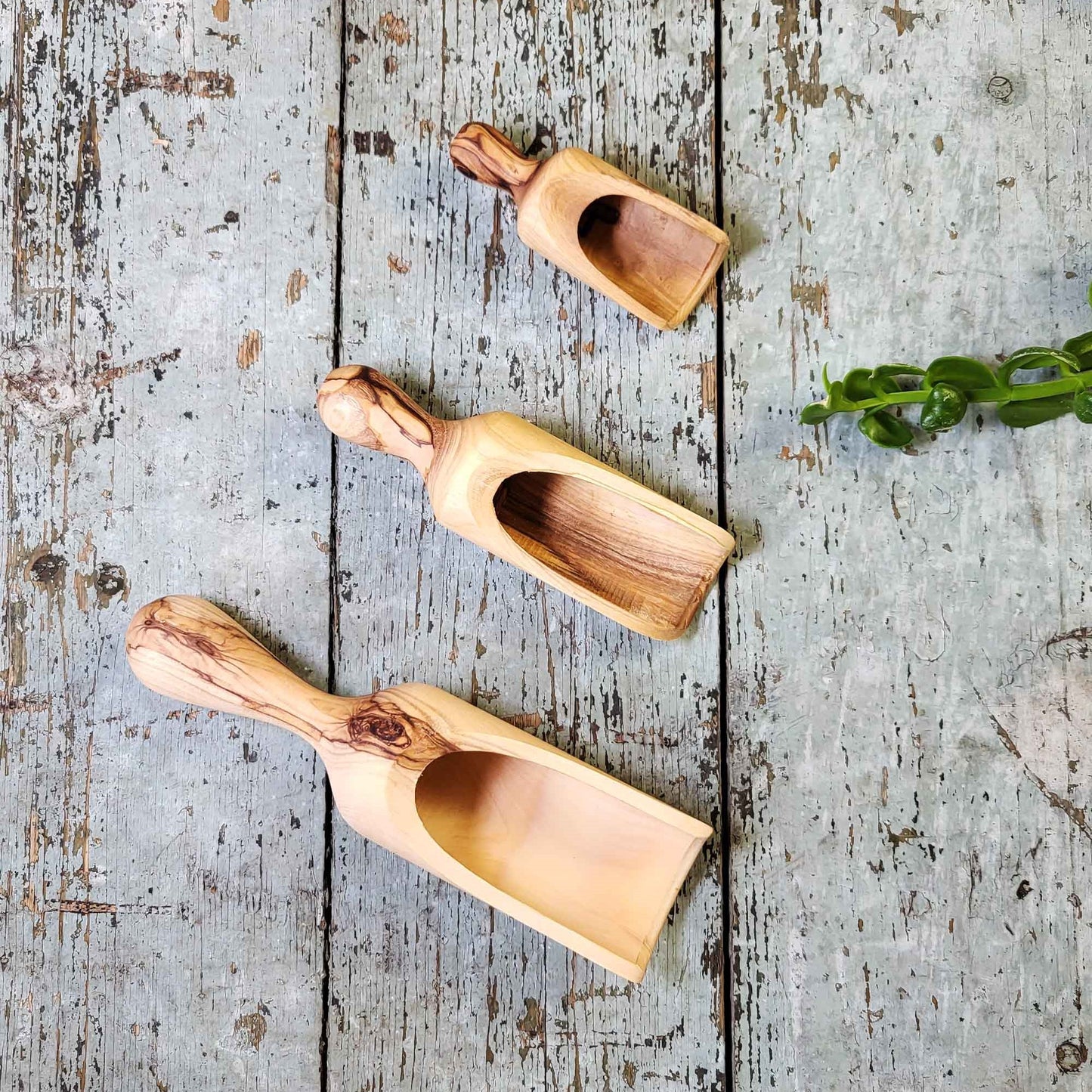 OliveWood Round Mouth Scoops - Available in three sizes — large, small and petite