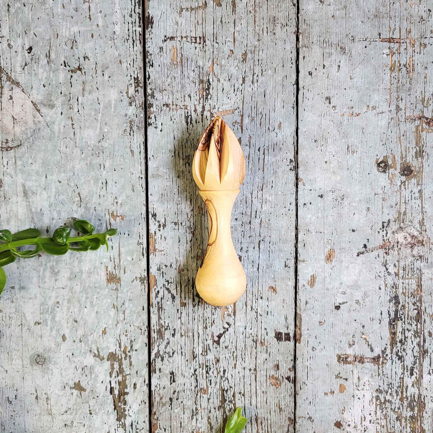 Olive Wood Handheld Lemon Juicer