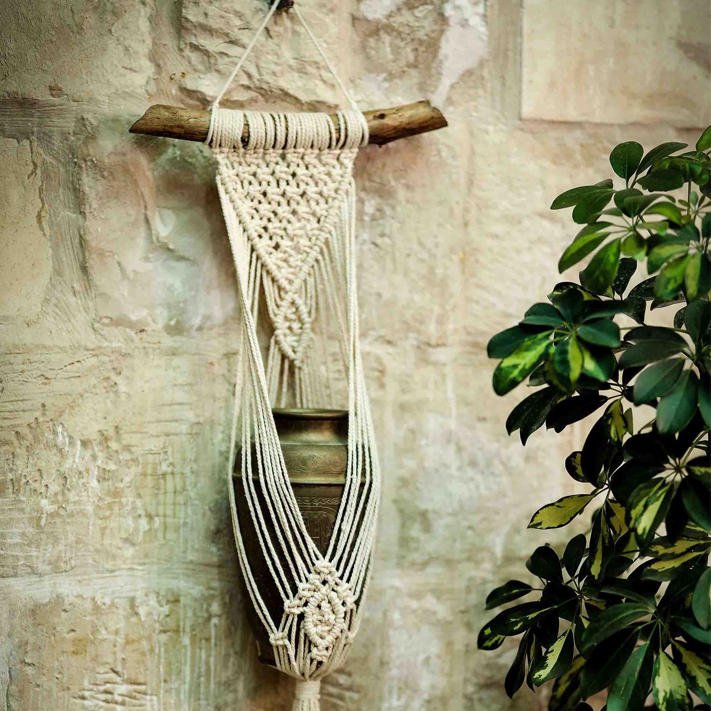 Fond Lily Macrame Plant/Pot Hange