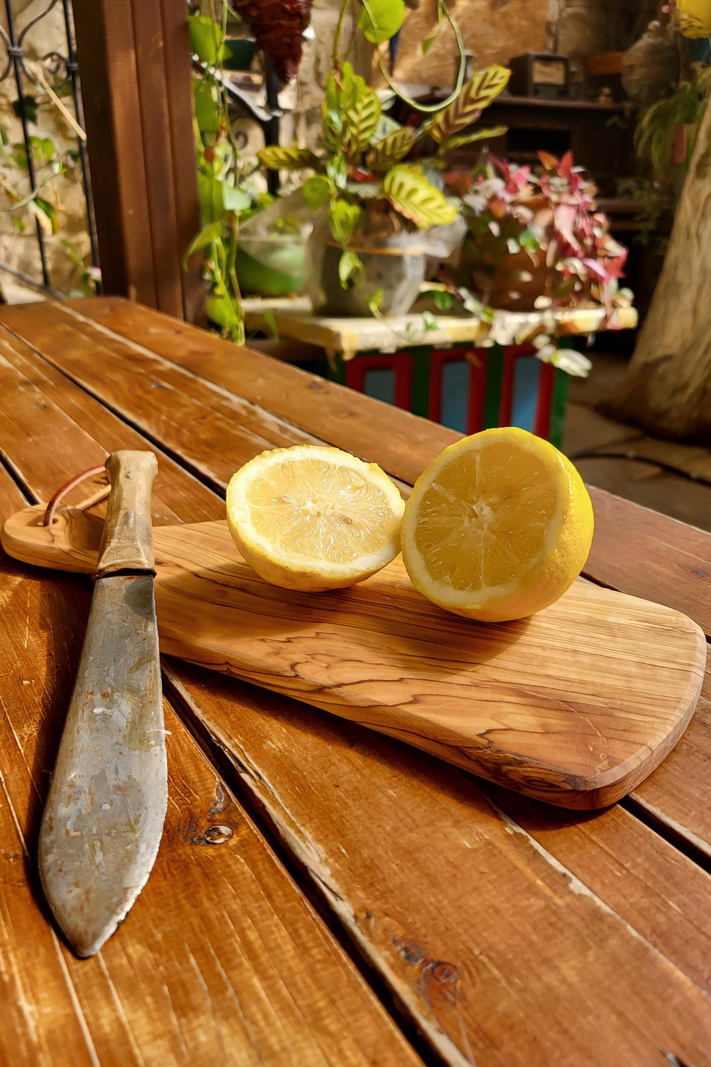 Small Organic Olive Wood Cutting Board